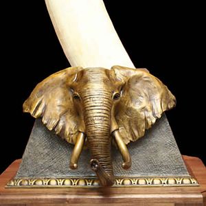 Elephant Tusk Base