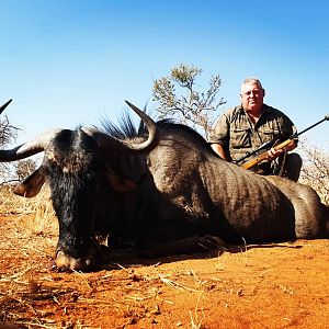 Bluewildebeest South Africa