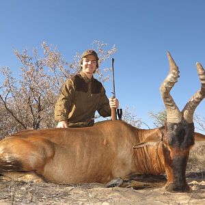 Hunt Red Hartebeest in Namibia