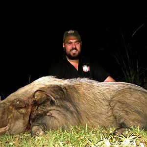 South Africa Hunt Bushpig