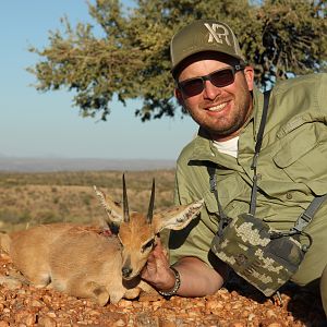 Steenbok Hunting Namibia