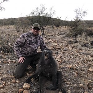 Hunting Baboon in Namibia