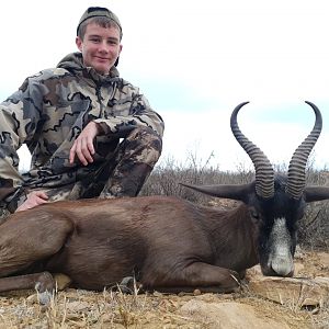 Hunt Black Springbok in South Africa