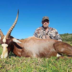 Blesbok Hunt South Africa