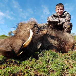 South Africa Hunt Warthog