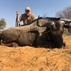 South Africa Hunt Blue Wildebeest