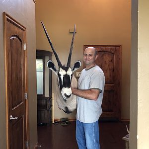 Gemsbok Shoulder Mount Taxidermy