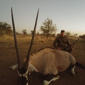 Gemsbok