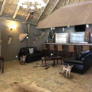 South Africa Hunting Lodge