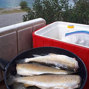 Fishing in British Colombia Canada