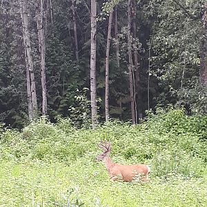 Fishing and Touring British Colombia Canada