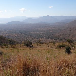 South Africa Hunting Area