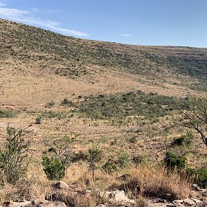 Hunting Area South Africa