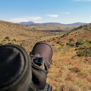 South Africa Hunt Gemsbok