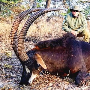 Tanzania Hunting Sable Antelope