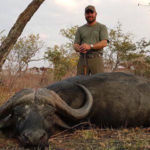 Cape Buffalo Hunting Tanzania