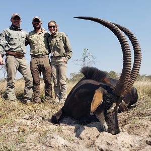 Hunt Sable Antelope in Tanzania