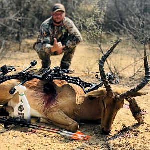 Southern Impala “Aepyceros Melampus” Bowhunting South Africa