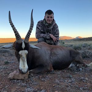 Hunt Blesbok in South Africa