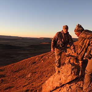 Hunting Mountain Reedbuck in South Africa