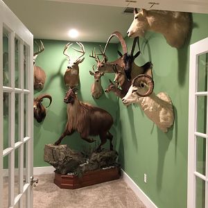 New Trophy Room