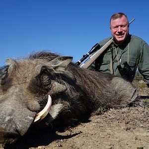 Warthog Hunt South Africa