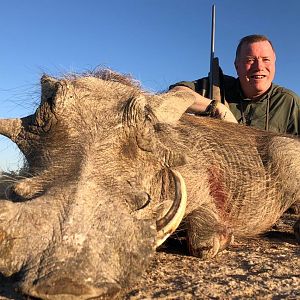 South Africa Hunting Warthog