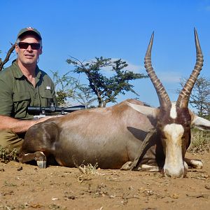 South Africa Hunting Blesbok