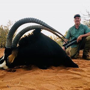 South Africa Hunt Sable Antelope