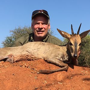 Hunting Duiker in South Africa