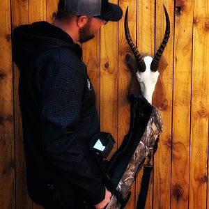 White Blesbok European Skull Mount Taxidermy