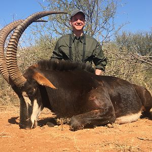 South Africa Hunt Sable Antelope