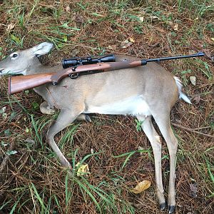 Ruger African in 275 Rigby Rifle