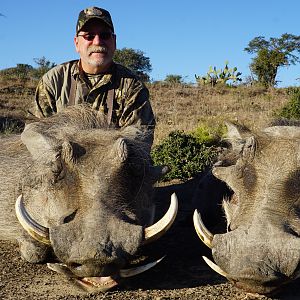 Hunt Warthog in South Africa