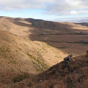 South Africa Hunting