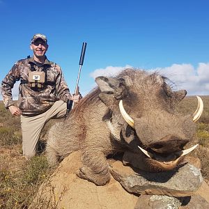 South Africa Hunt Warthog