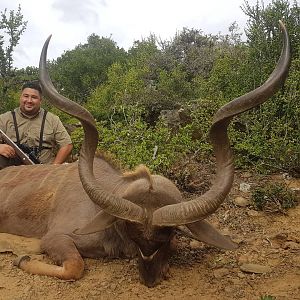 South Africa Hunting Kudu