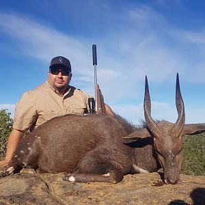 South Africa Hunt Bushbuck