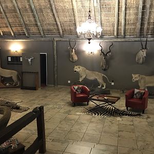 Hunting Lodge in South Africa