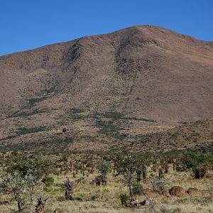 South Africa Hunt Area