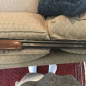 Beretta Silver Pigon in 12 gauge Shotgun