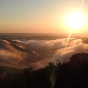 Early morning South Africa