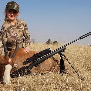 South Africa Hunting Blesbok