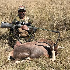 South Africa Hunt Blesbok