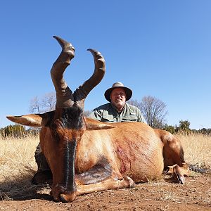 Hunting Red Hartebeest in South Africa