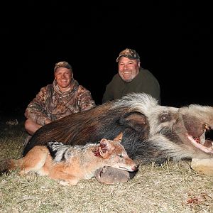 South Africa Hunting Bushpig & Jackal