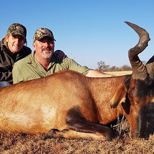 South Africa Hunting Red Hartebeest