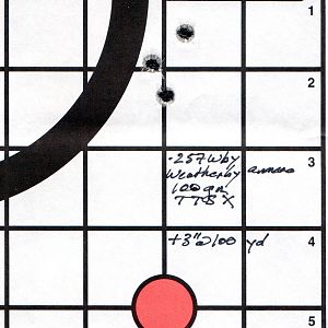 257 Wby 100 gr Barnes TTSX group