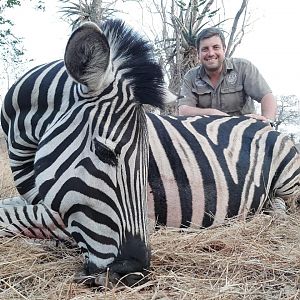 South Africa Hunting Burchell's Plain Zebra