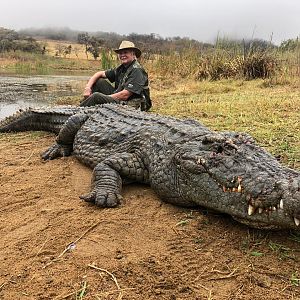 Hunt Crocodile in South Africa